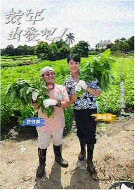 夜航舞台 综艺现场节目单封面